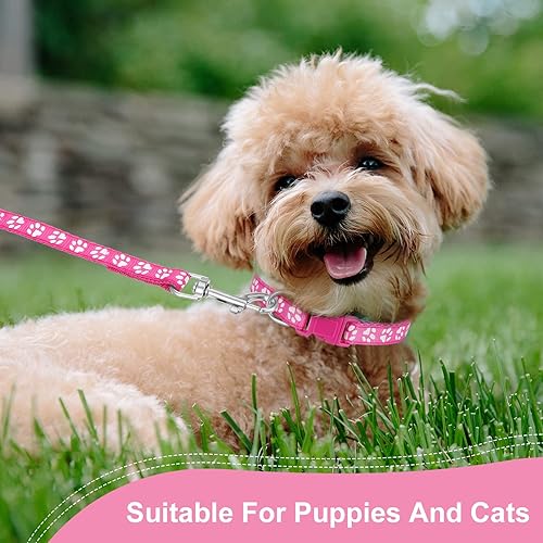 Miniatura 6 de BOUMUSOE Juego de 2 collares y correa para perro, collar para cachorro y correa con hebilla de liberación rápida, collar ajustable con estampado de