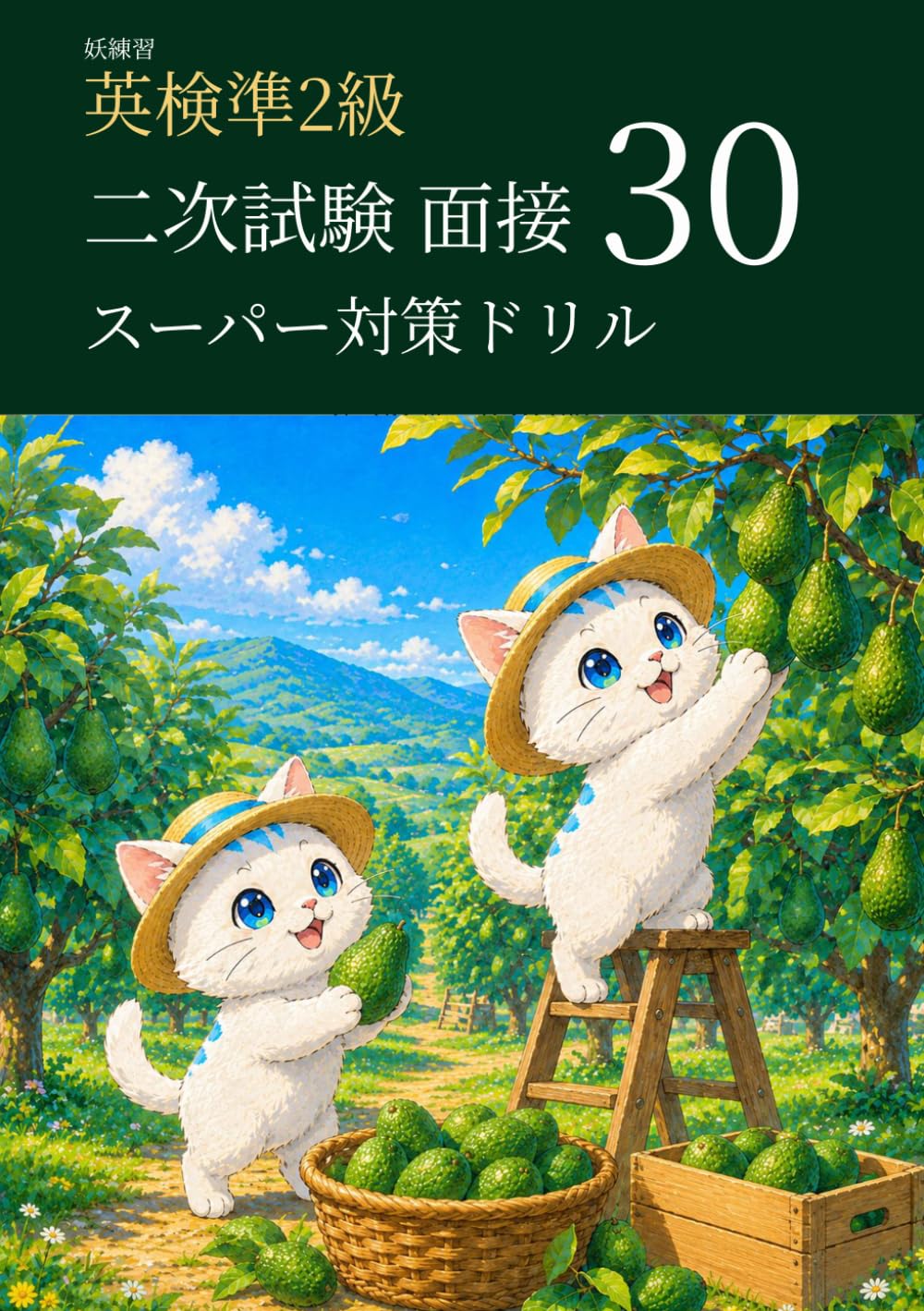 妖練習 英検準2級 二次試験 面接 スーパー対策ドリル 30 (英検準2級マスターシリーズ)