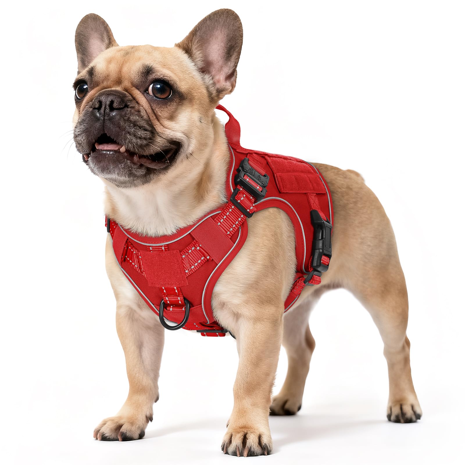 rabbitgoo Tactical Dog Harness for Small