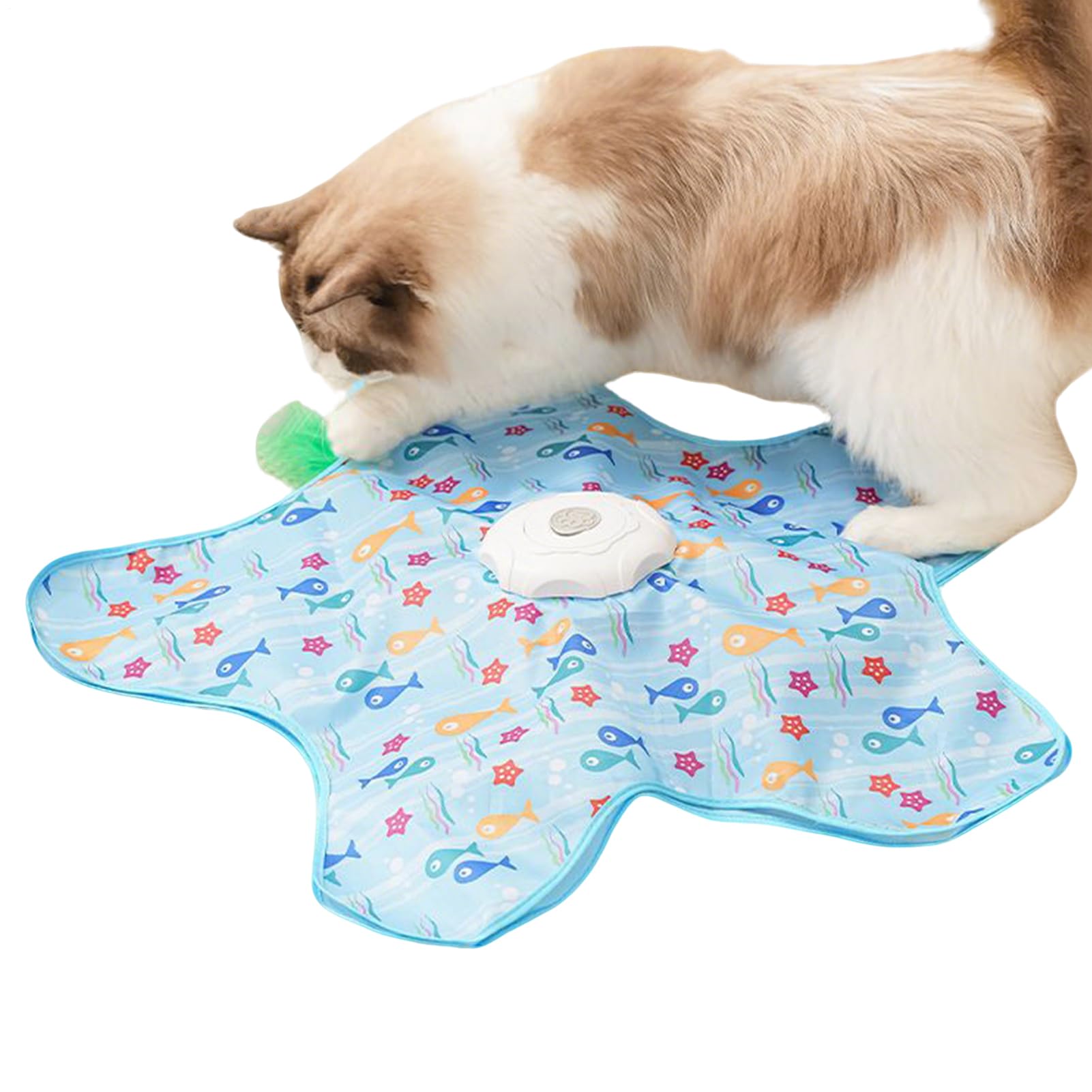 Jouet interactif pour chat idéal pour stimuler son agilité au salon