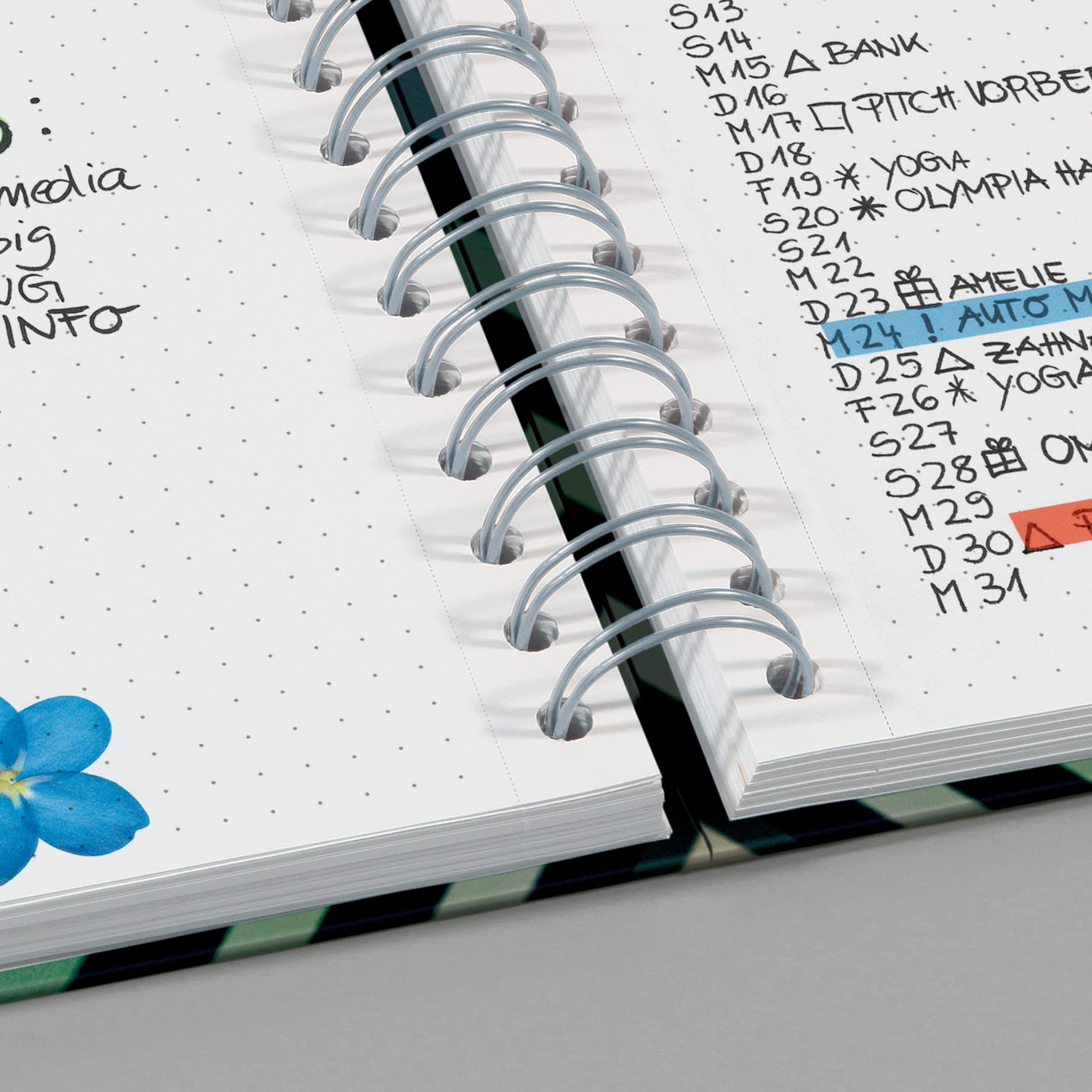 SIGEL JN651/2 Spiralblock A5 dotted, Notizblock Bullet Journal Jolie, dickes 120g Papier, 240 Seiten, mit Leseband, Stiftschlaufe, Gummiband, vegan, aus nachhaltigem Papier hergestellt (Packung mit 2)