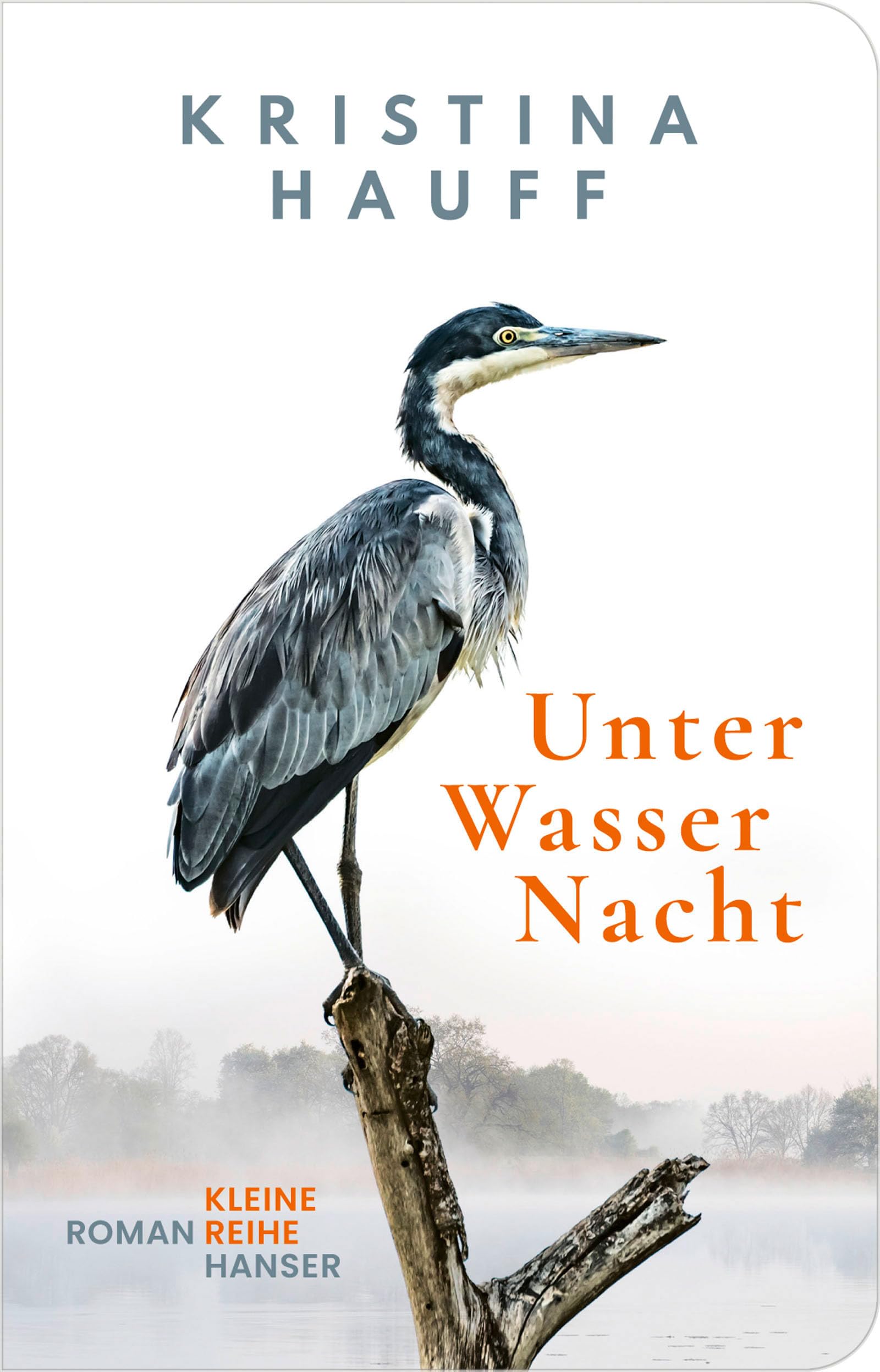 Unter Wasser Nacht: Roman