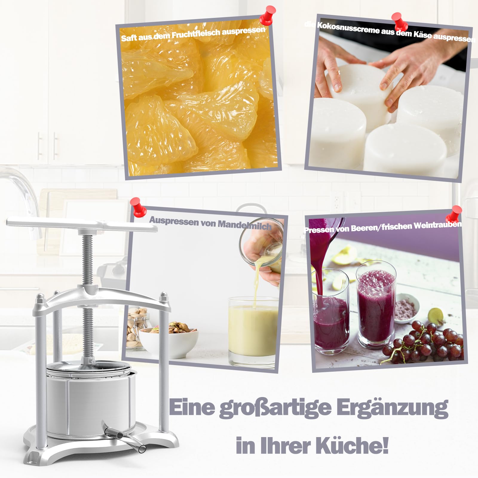 SQUEEZE master Fischer Presse-fruits jusqu'à 6 l en aluminium et acier inoxydable – Presse à vin pour la cuisine et un usage domestique ambitieux