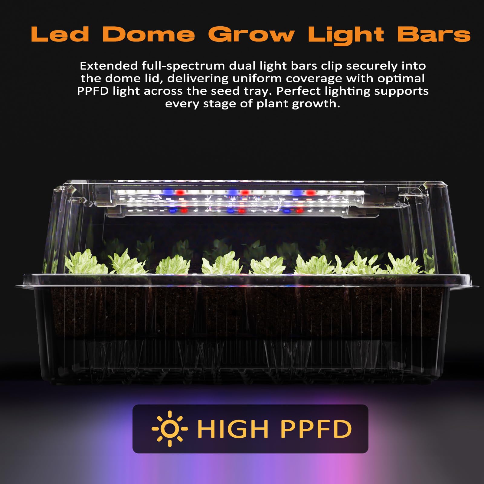 Patigrow Vassoio di avviamento per semi autoirrigante a 80 celle con luce di coltivazione, kit di avviamento per semi con cupola di umidità da 10,3 cm, vassoio iniziale per piantine da interno, vassoi