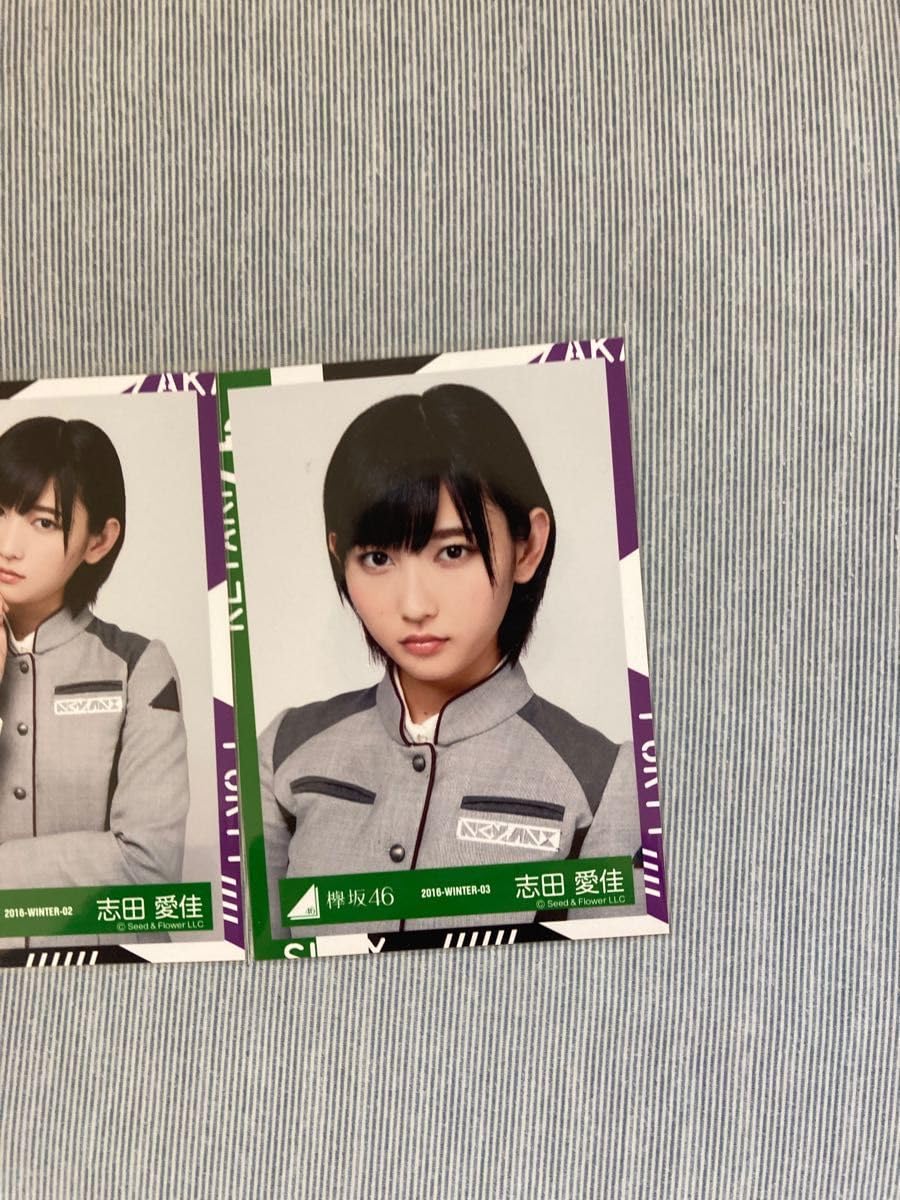 Amazon.co.jp: 欅坂46 生写真 サイレントマジョリティー 語るなら未来 