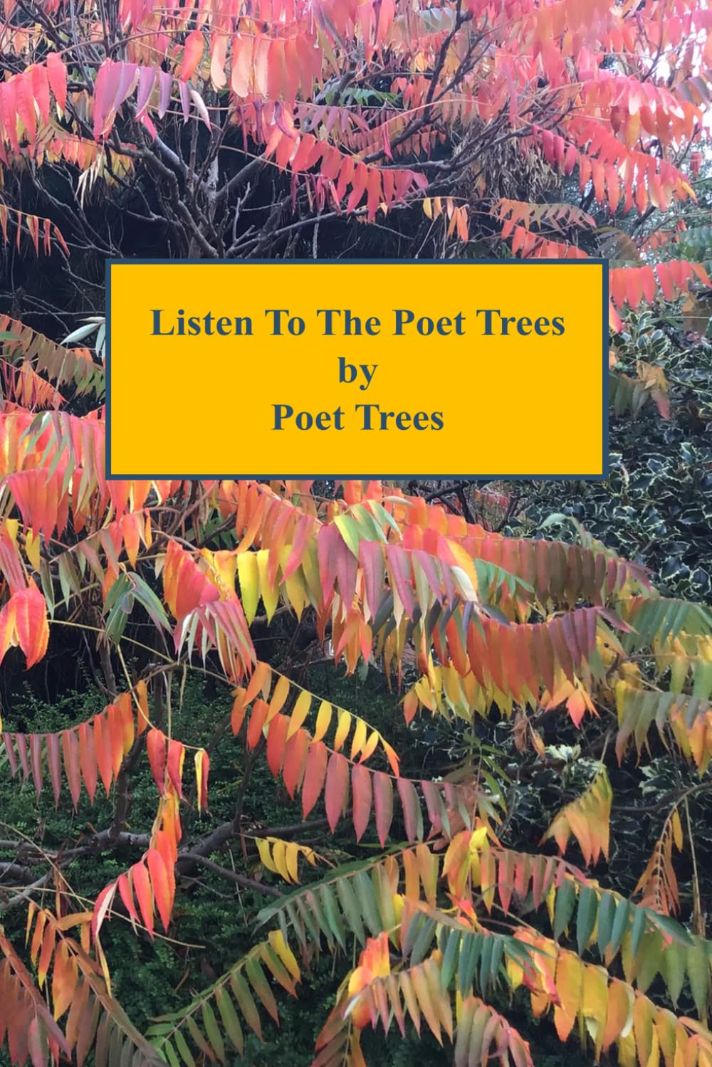Listen To The Poet Trees