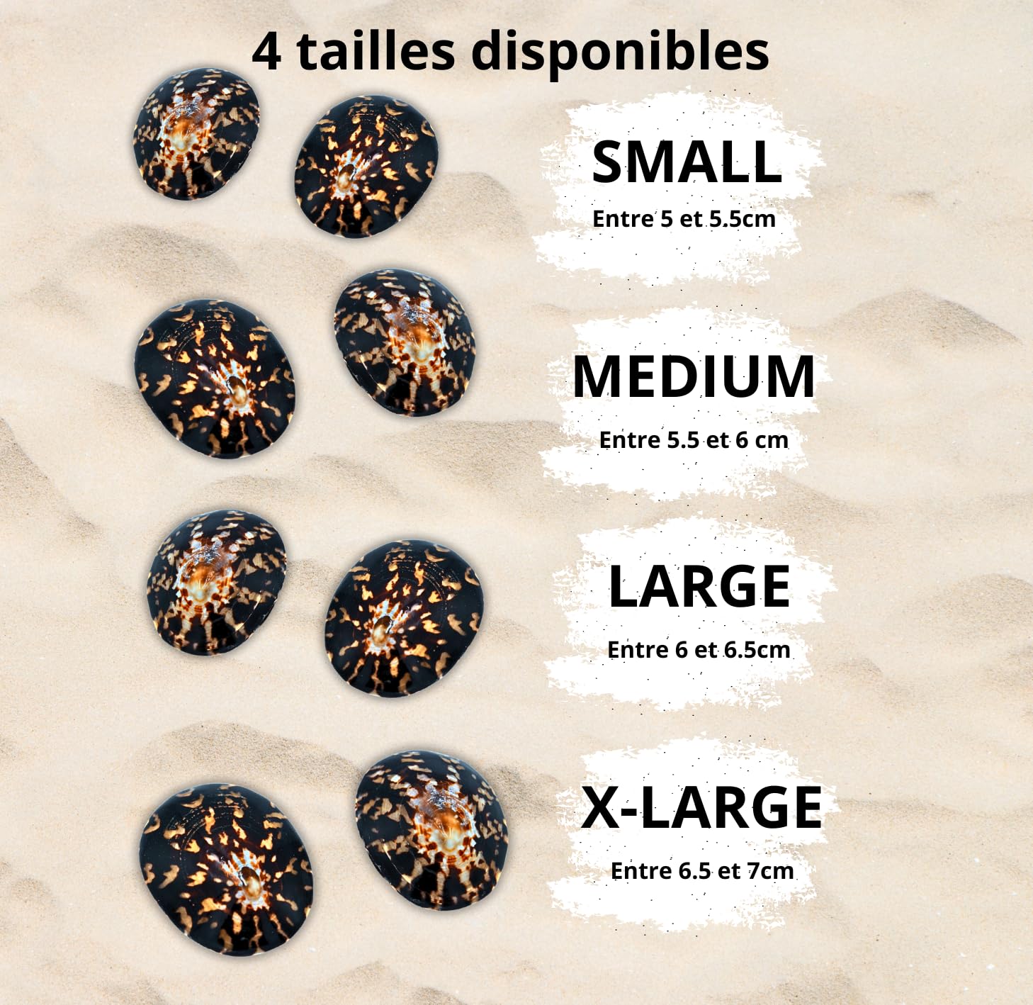 GENIUZ Coquillages Allaitement Coffret + Coussin + Ebook Offert (Large)