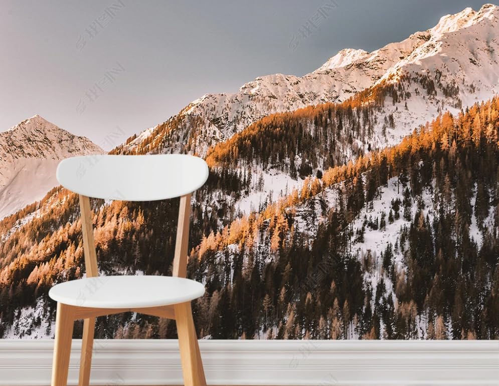 Papier peint intissé bosquet forestier coloré poster géant mural pour salon de 250x175 cm