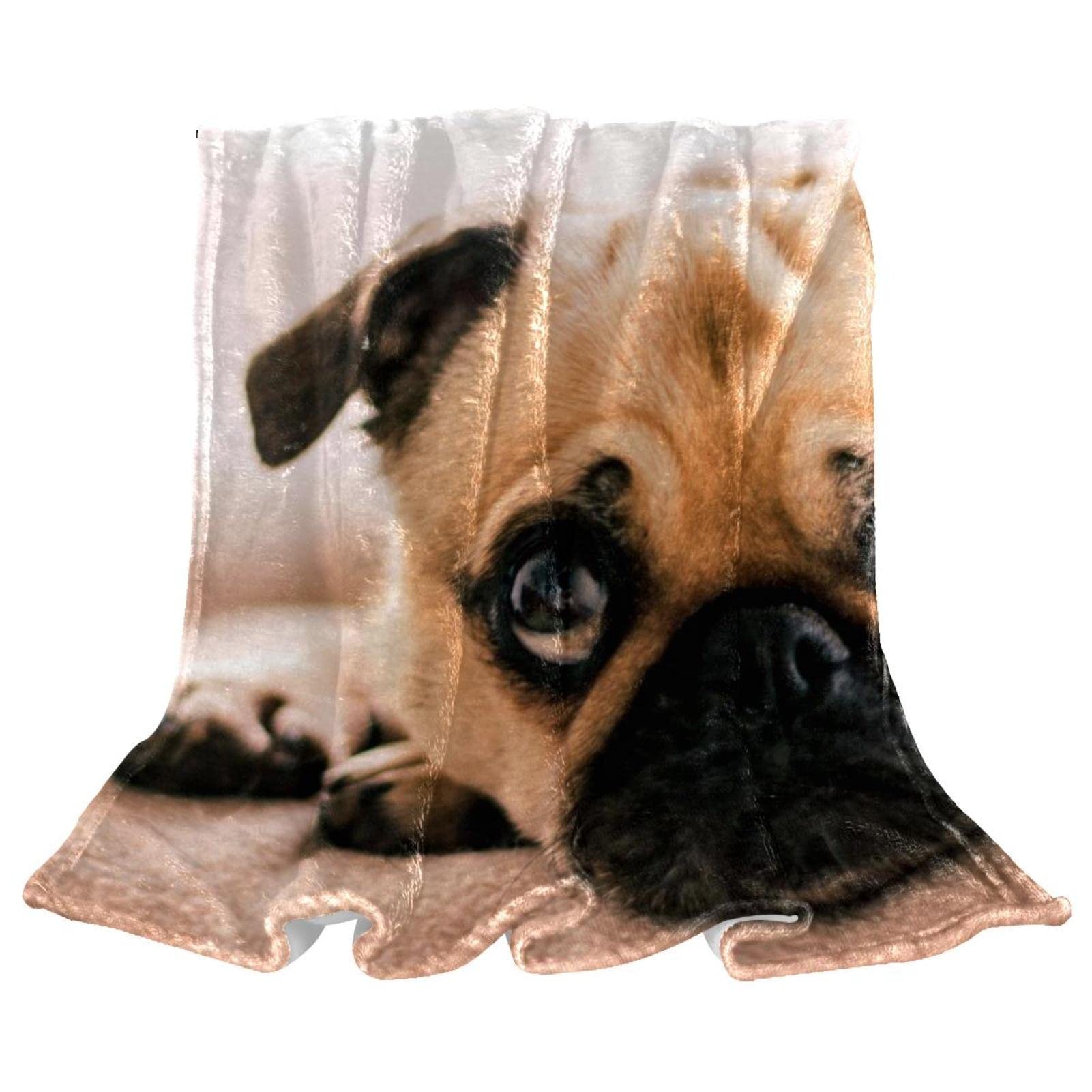 Couverture polaire légère en peluche pour chien carlin pour canapé