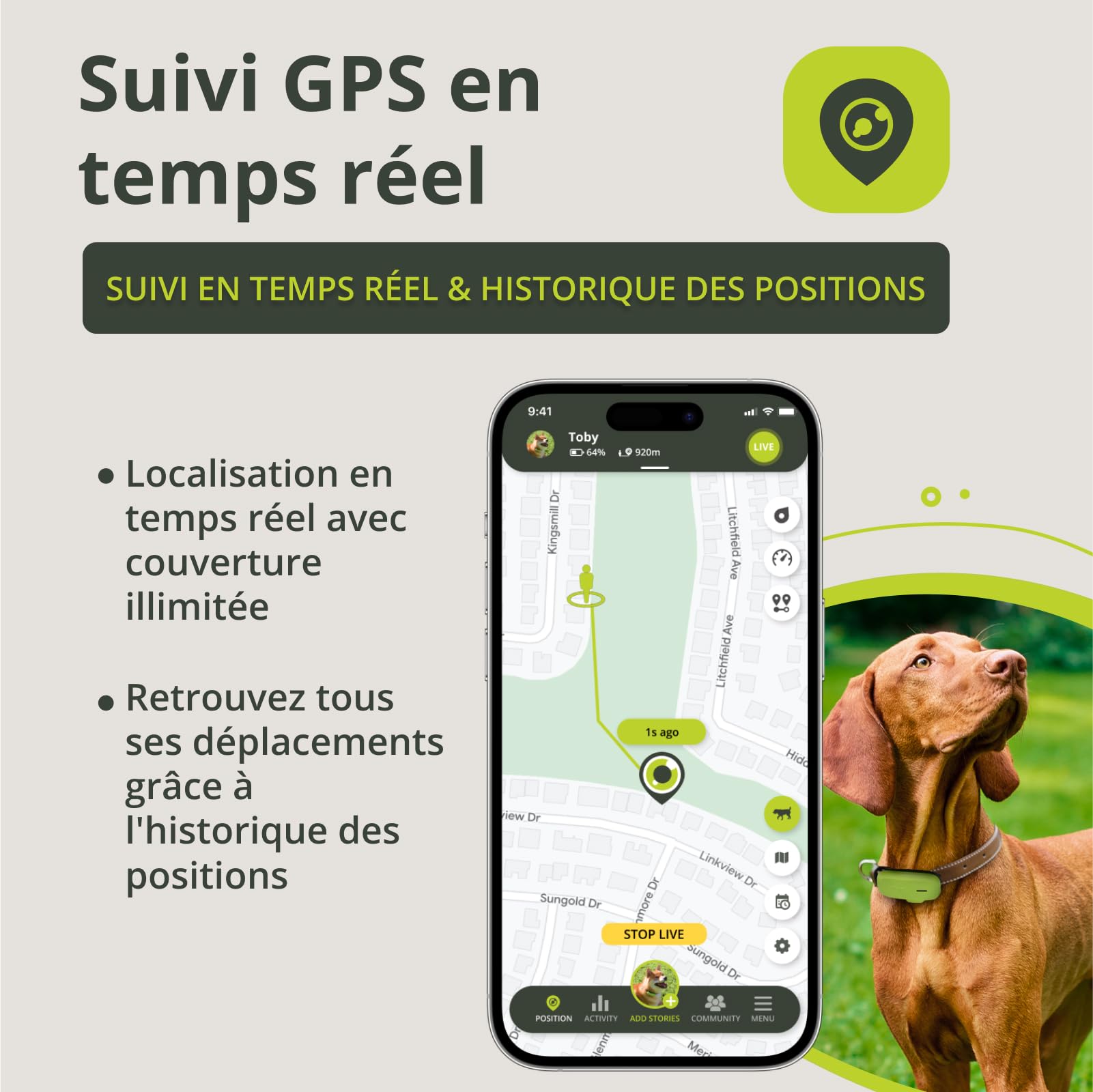 Kippy Dog | GPS pour Chiens - Traceur GPS étanche pour Chiens avec Fixation pour Collier - Suivi d'activité et de santé pour Votre Chien, avec GEOFENCE et Notifications - Couleur Verte
