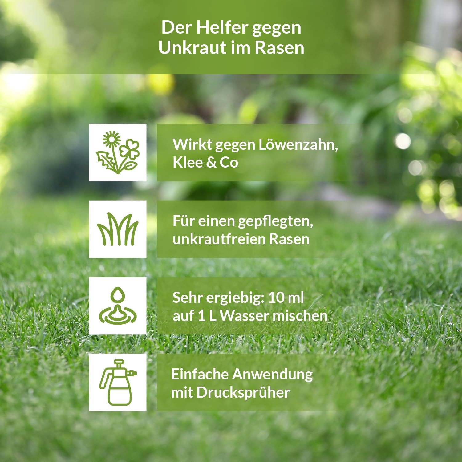 Terra Domi 500 ml Rasenunkrautvernichter für bis zu 600 m² Rasenfläche, Referenzmittel: Dicotex stark gegen übliche Unkräuter & schwer bekämpfbare Arten, Herbizid für den perfekten Garten