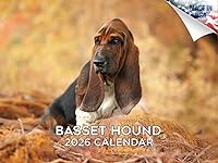 Vista 174 de Razas de Perros 2017