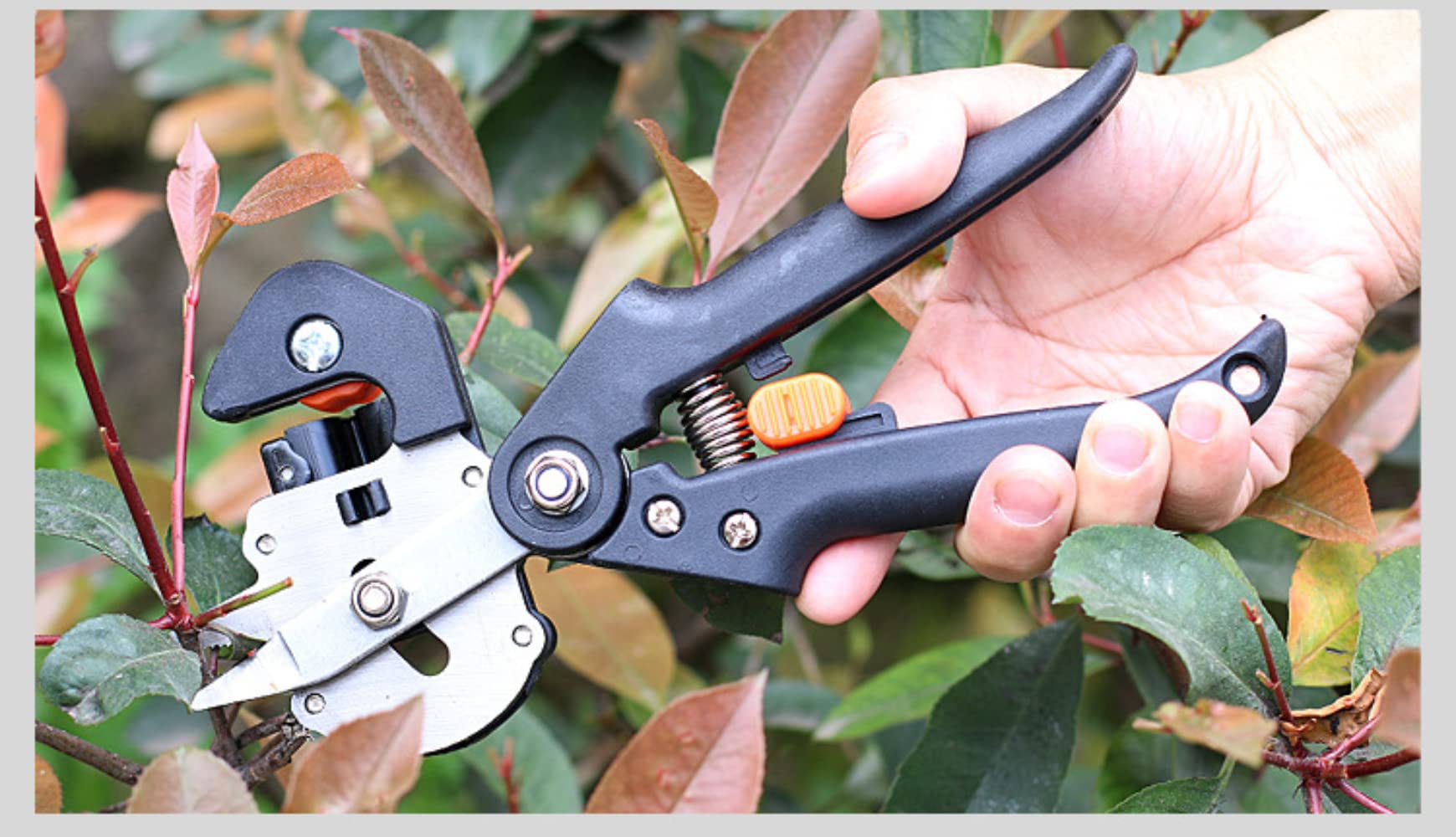 Kit di 3 Lame per innesto da Giardino potenziato per Alberi da frutto con Nastri per coltelli, Ricambio Extra Incluso, pinze Professionali per Forbici