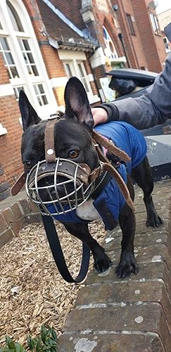 Miniatura 4 de Champion para L & J mascotas UK bozal para Perro de piel de luz para Bulldog Francésfrenchies, Marrón