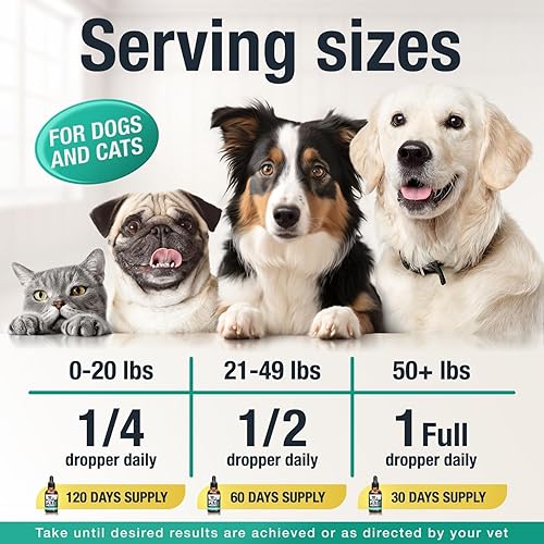 Miniatura 5 de Charlie & Buddy Aceite de Cáñamo para Perros y Gatos - Ayuda a las Mascotas con Ansiedad, Dolor, Estrés, Sueño, Artritis, Alivio de Convulsiones