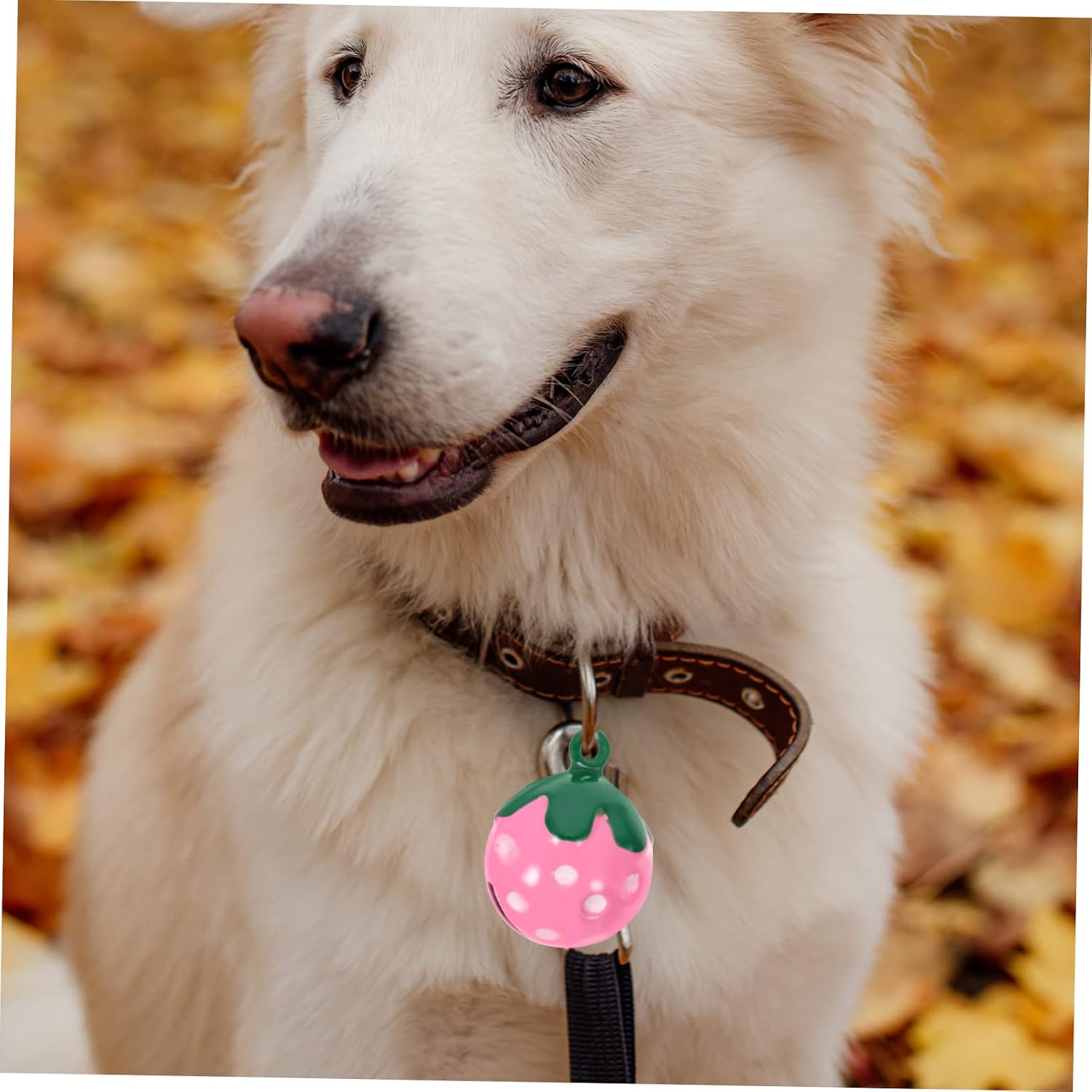 10-Piece Strawberry Shaped PET Collar Charms Copper Pendant Accessories for Cats and Dogs DIY PET Necklace Supplies