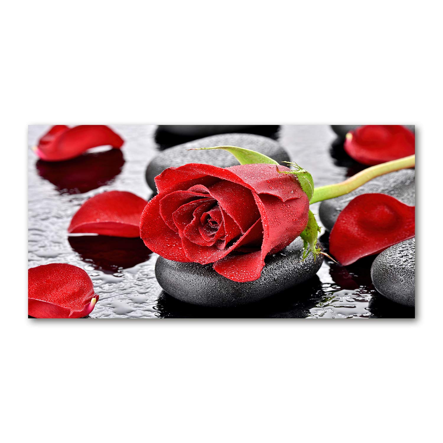 Tableau en verre acrylique Tulup 140x70cm avec une élégante impression de rose rouge