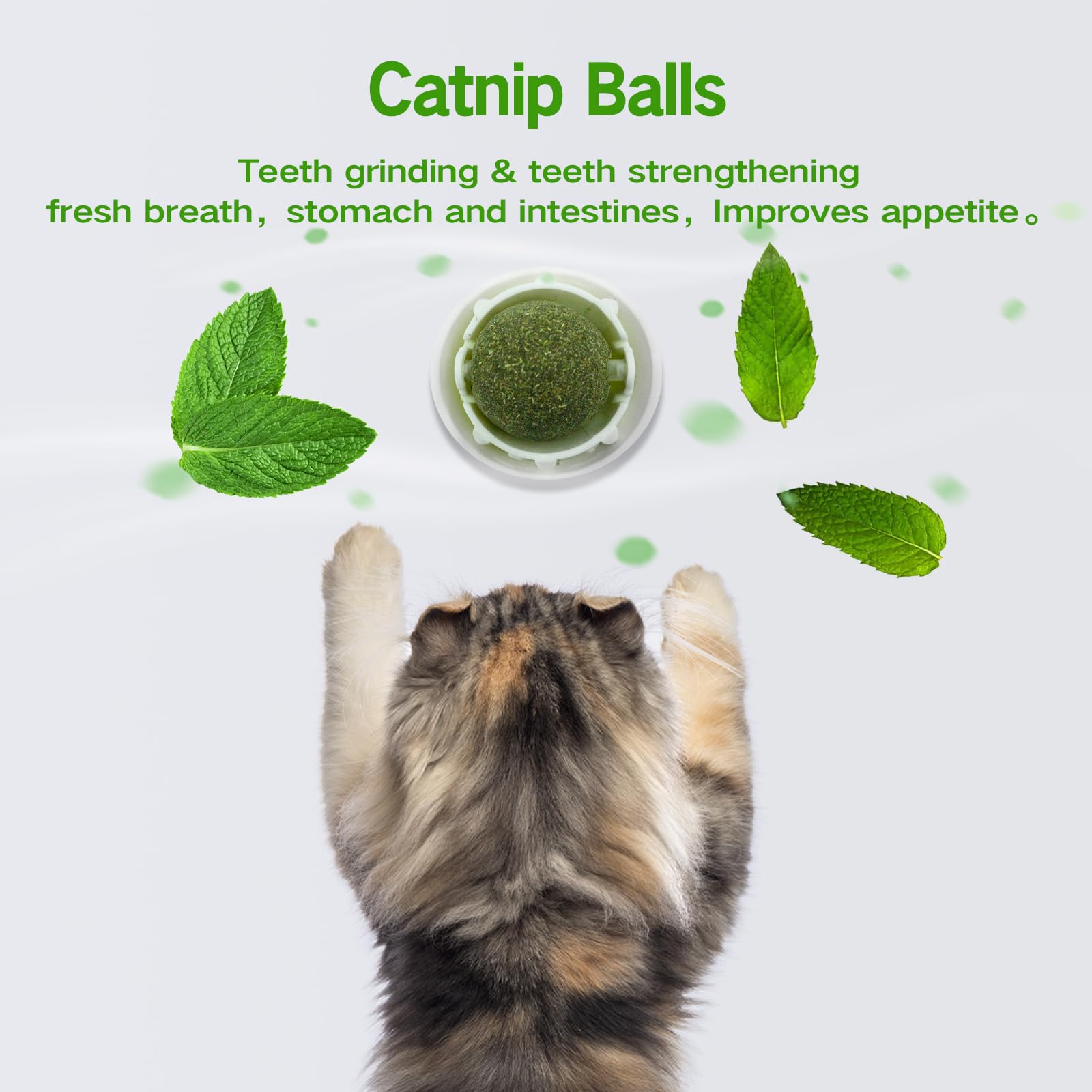 Dayinkes 2PCS Catnip Balls for Cats, Catnip Balls That Stick on Wall, Healthy Teeth Cleaning Dental Kitten Toys, Reusable Cat Face Scratchers, Refillable Catnips Toys for Cats, Gift Box for Kitten Pet