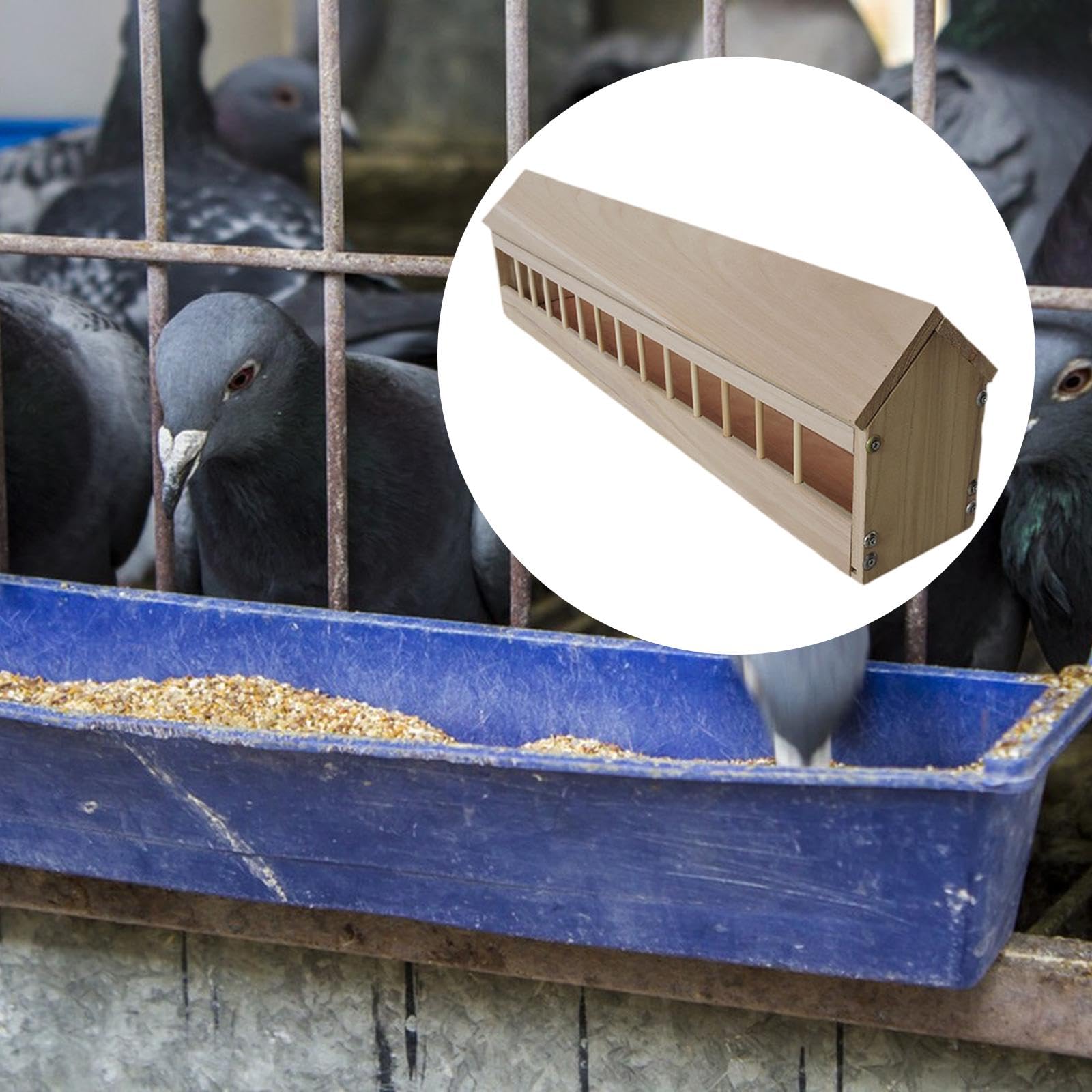 Comedero para Palomas Comedero para Pollos Plato para Aves de Corral Y Alimentador para Codornices de Madera Resistente para Uso Continuo Adecuado Pa, 80cm