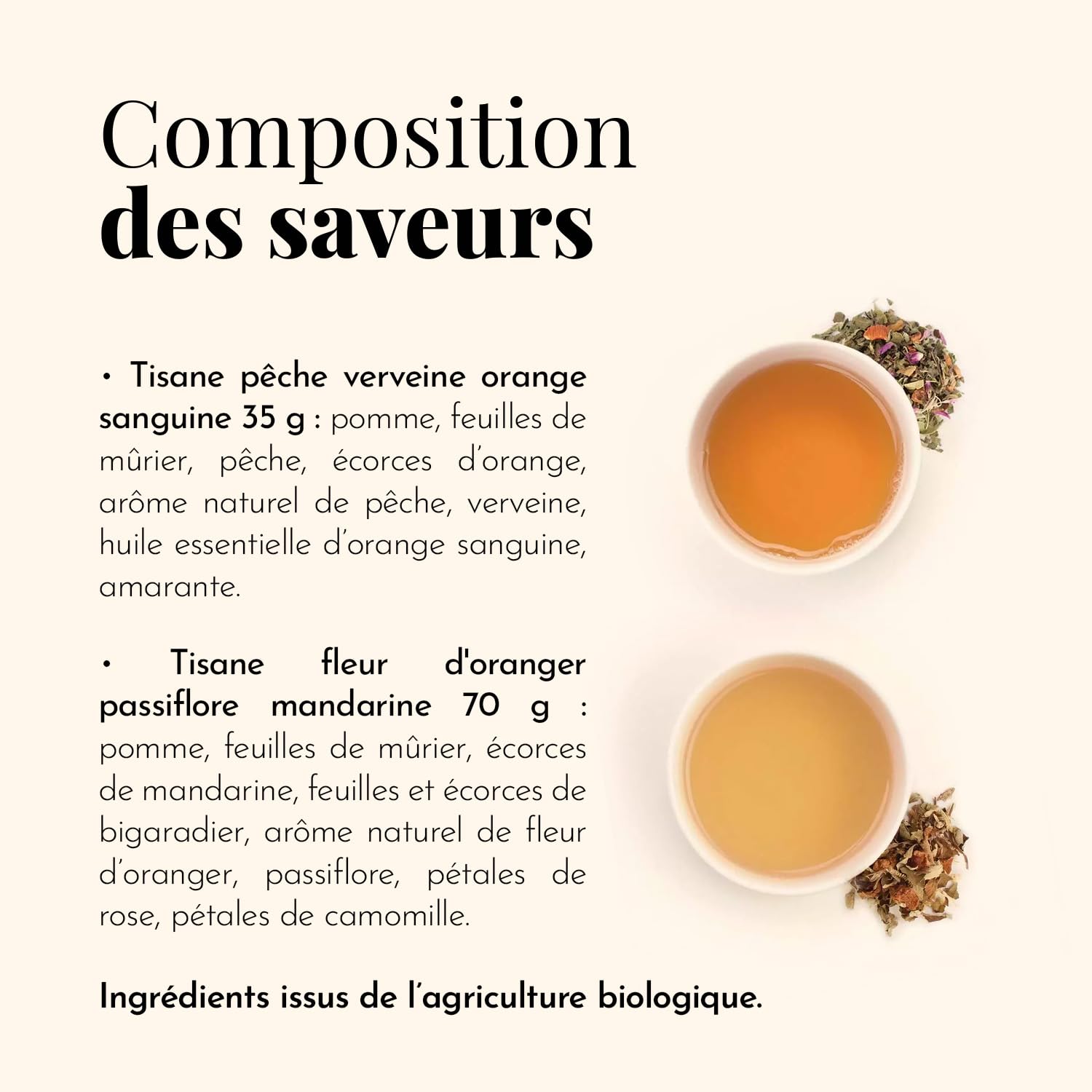 Terre d'Oc - Coffret 2 Tisanes Fruitées Bio + Gourde - Glacée ou Chaude
