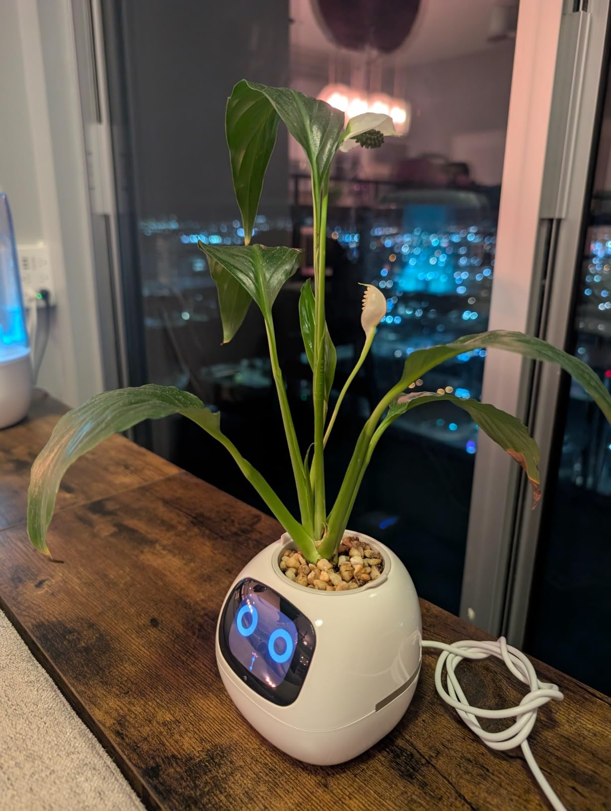 Plantagotchi - AI Smart Planter photo review