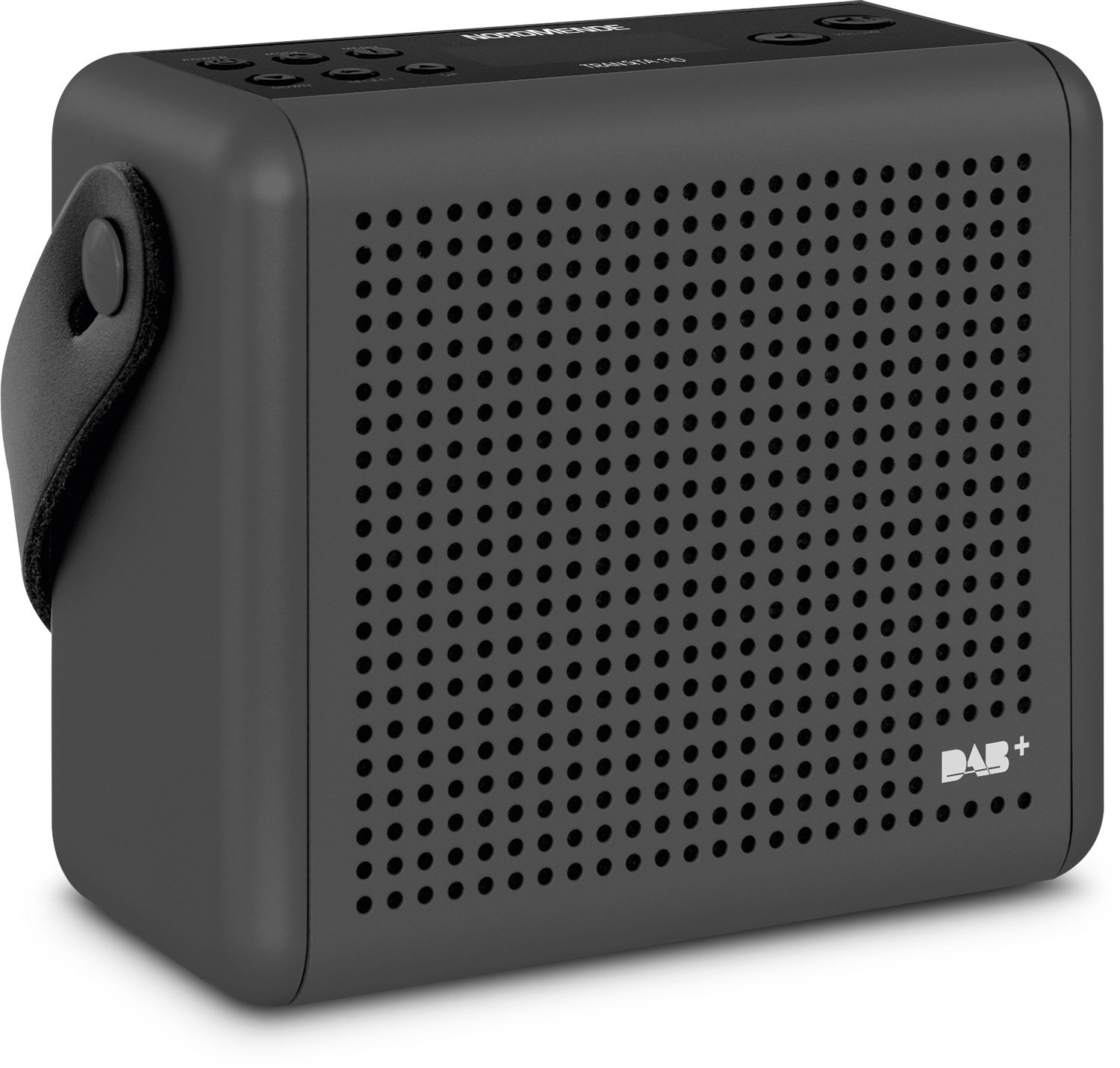 Nordmende Transita 110 - Radio digitale DAB+ e FM portatile (Scatola musicale portatile con display OLED, Radio da esterno con maniglia per il trasporto e orologio), antracite