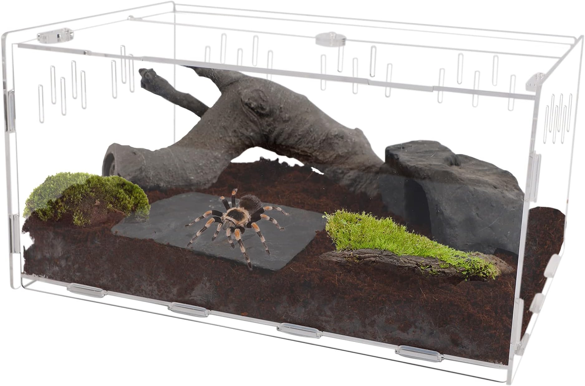winemana Reptile Terrarium, Tarantula Enclosure, 16" x 11" x 6" Acrylic Large Feeding Tarantula Habitat Box for Small Animals Insect Home Office