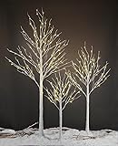 LIGHTSHARE LED Birch Tree Light Set - 4ft, 6ft, 8ft Trees with Warm White Lights - Indoor Outdoor Christmas Wedding Party Decorations (3-Pack) 4 6 8 Feet, 3-Pack