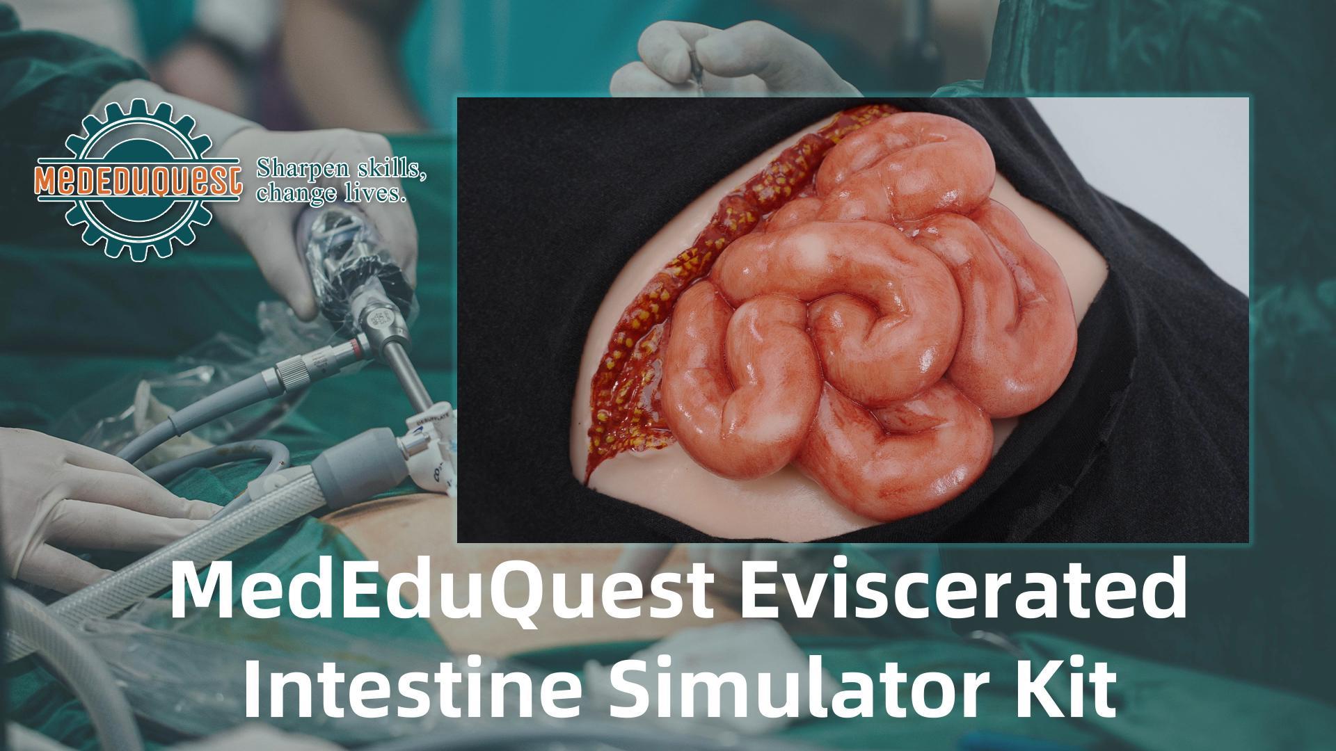 Image of Eviscerated Intestine Simulator, Open Abdominal Wound Packing Trainer, Small Intestine Simulator for Wound Care Practice, Medical Education Tools