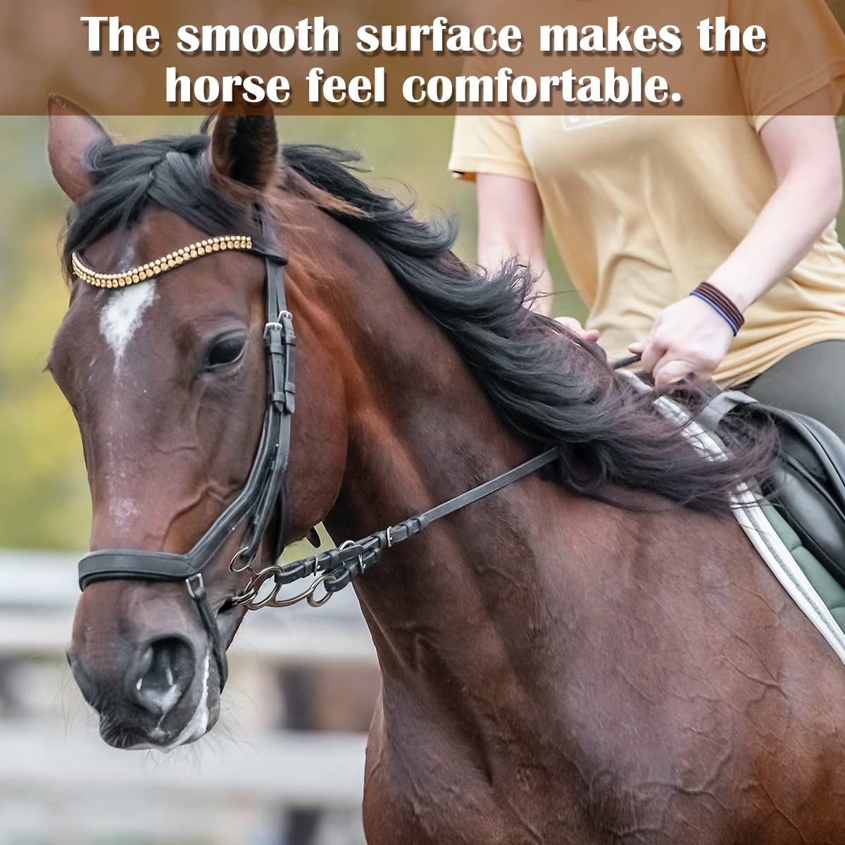 Mors De Bride Eldonian Acier Inoxydable – Ancien, Occasion, Pour Cheval