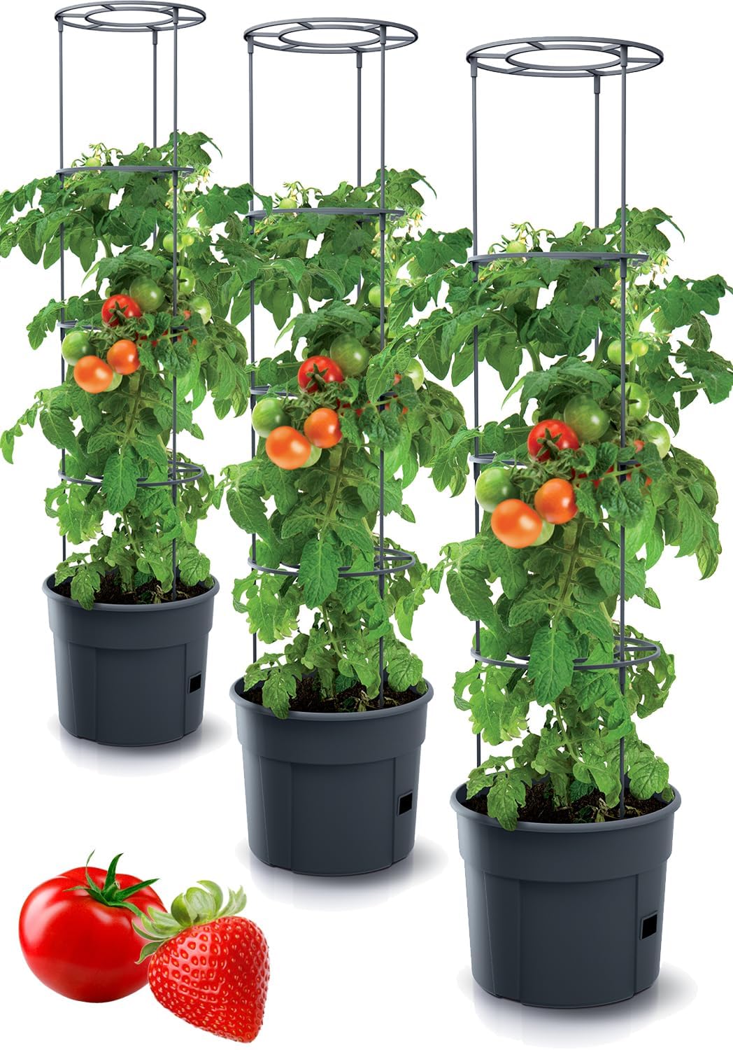 Pflanzkubel Fur Tomaten