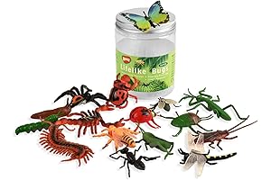 BOHS Bug Play Figures: Realistic Insect Toys for Toddler's Education