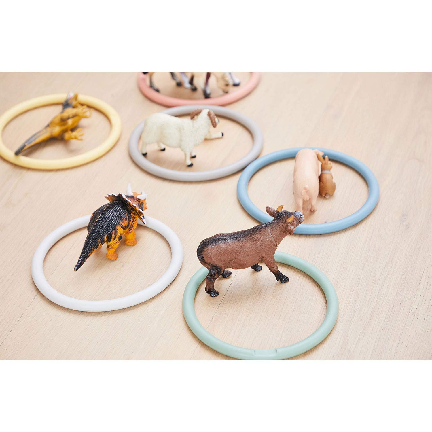 Activity Rings Nordic, 6 pezzi
