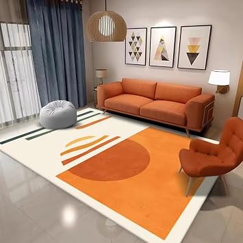 Area Rug Living Room Luxury Shaggy Rugs Modern Indoor Plus Rugs Non Slip Moroccan Living Room Rugs for Living Room Home Decor, Embrace the Warm Sunshine