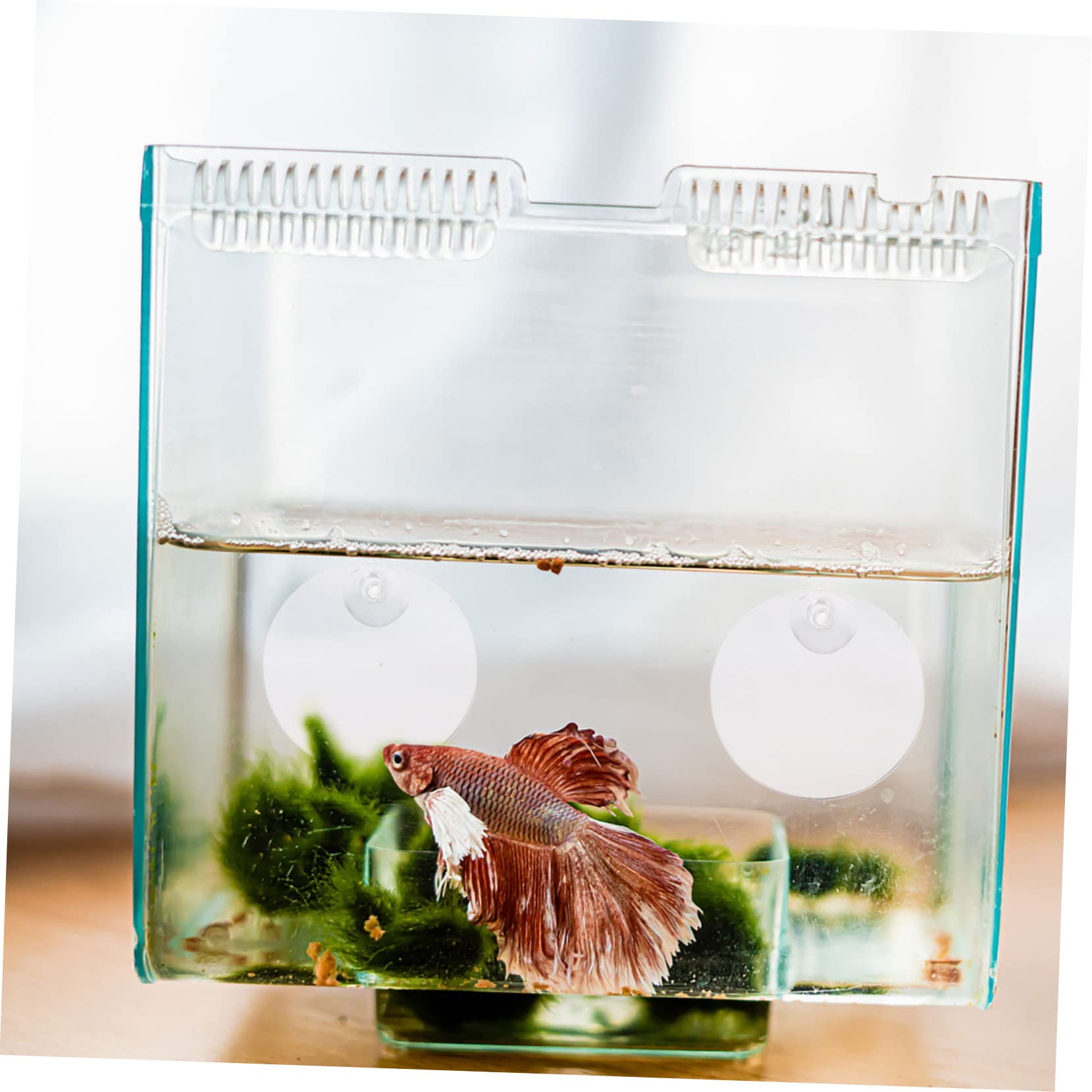DOITOOL 30piezas Espejos Decorativos para Peces Betta Ventosas Espejos De Acuario De Doble Cara Accesorios para Decoración De Tanques De Peces Apto para Agua Dulce y Salada