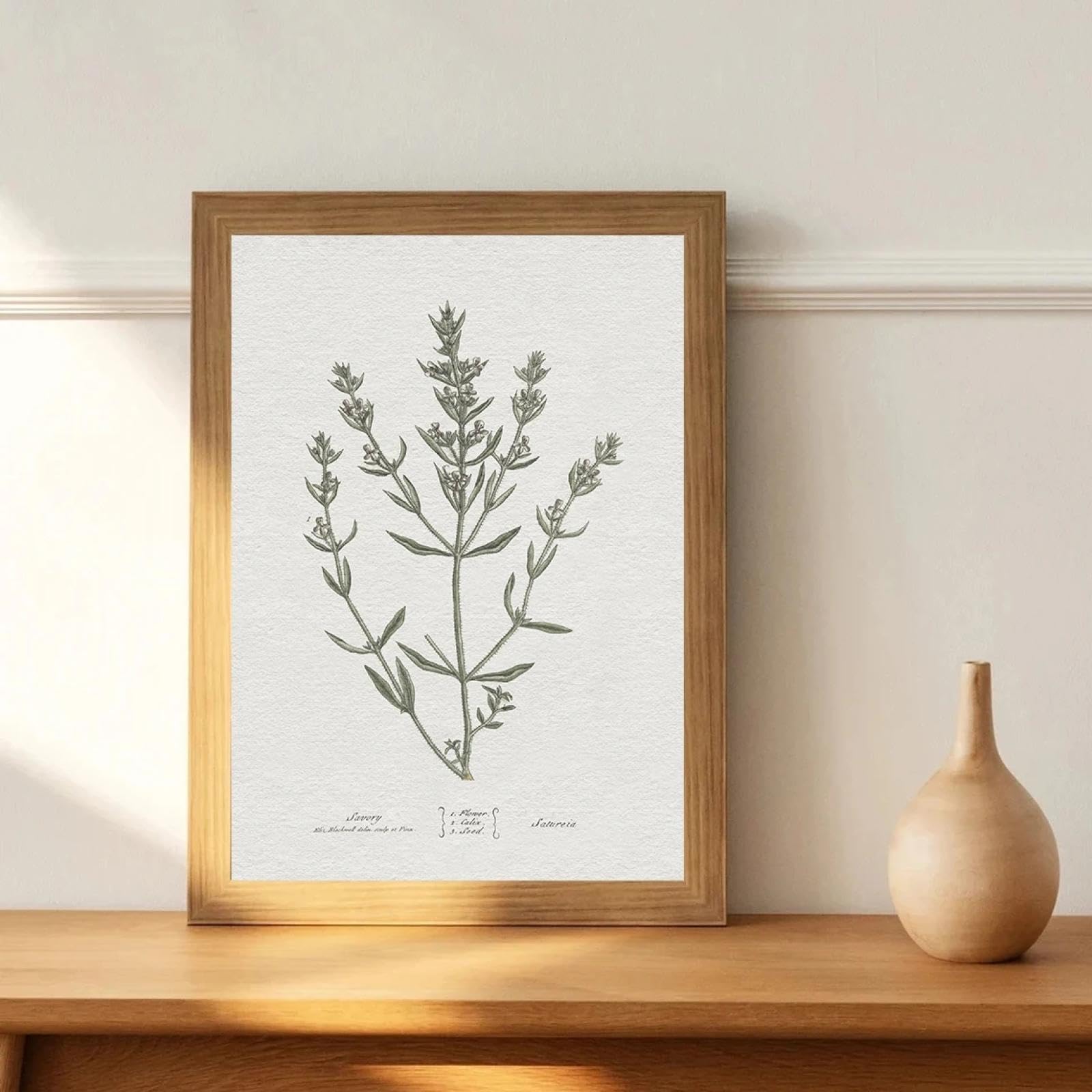 Póster de hierbas botánicas vintage en lienzo de 30x50 cm sin marco verde salvia para pared