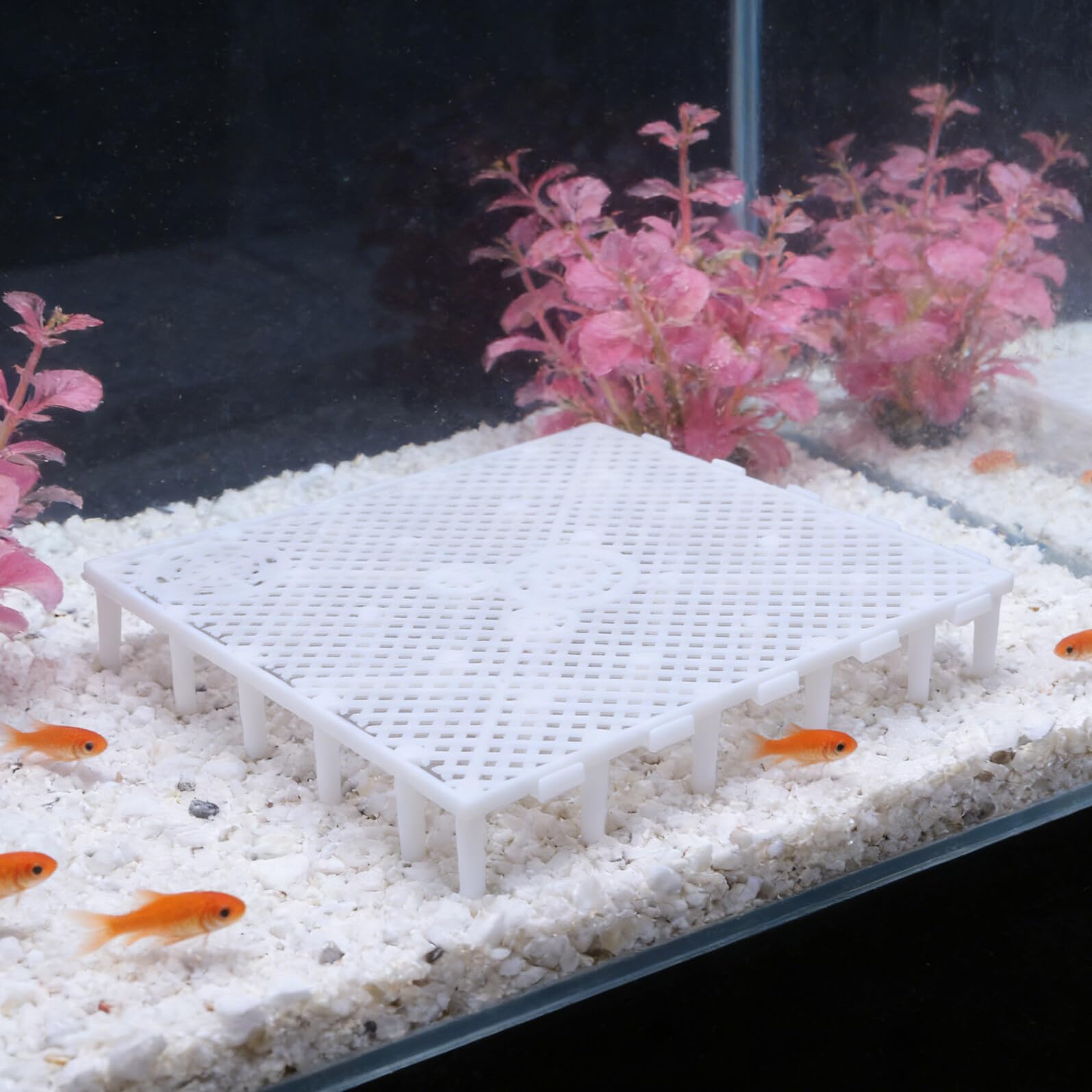 Abaodam 20 Piezas Placa de Filtro de para Filtración Blanco de Plástico para Acuario Almohadilla Desmontable y Rejilla y Paisajismo Acuático