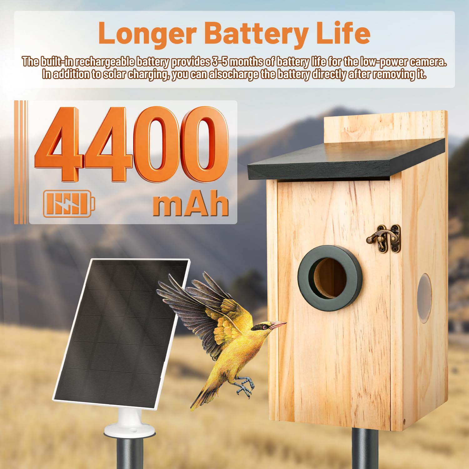 Casetta per uccelli intelligente con fotocamera, a energia solare, per esterni, con videocamera HD 2K, WiFi 2,4 G, visione notturna, rilevamento del movimento e SD da 16 GB, orologio per nidificare e