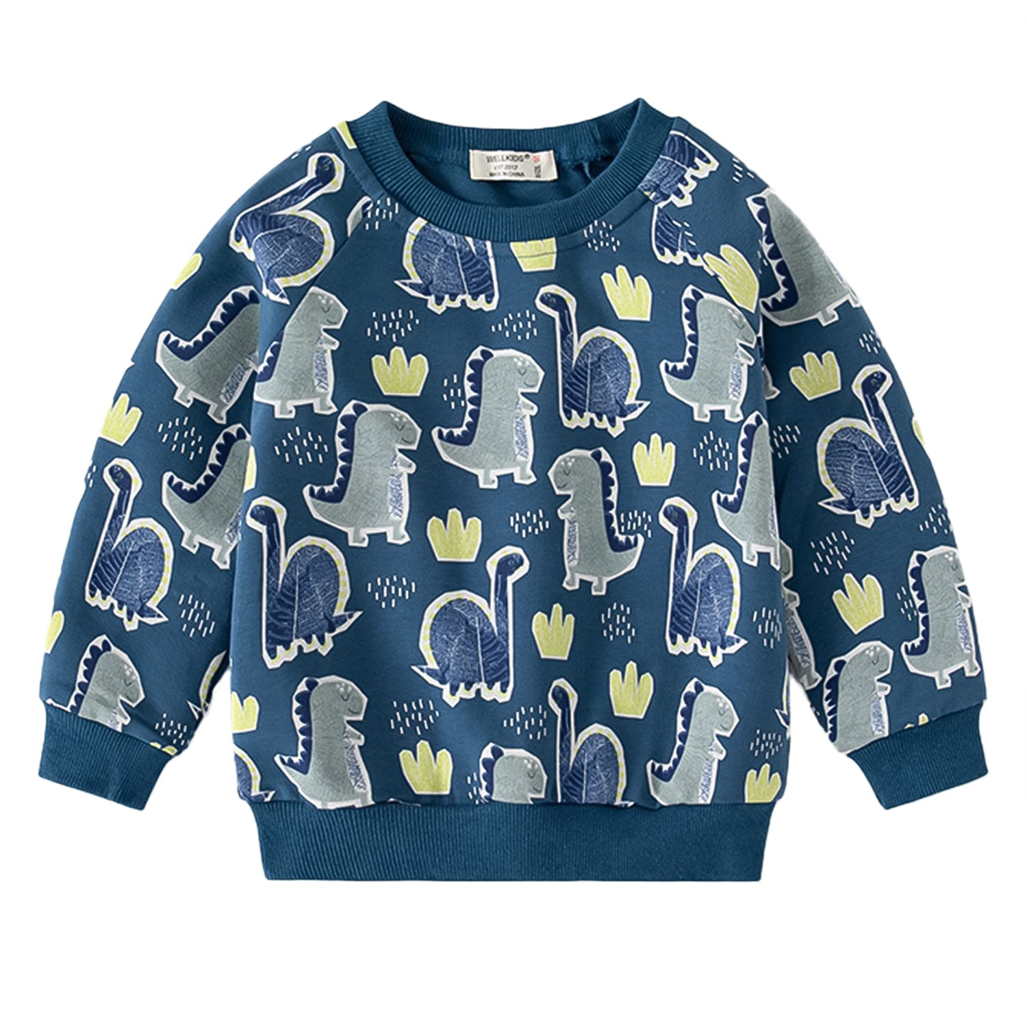 Volunboy Enfant Garcon Jogging Dinosaure Ensembles, Crew Neck Sweat et jogpant Deux pièces