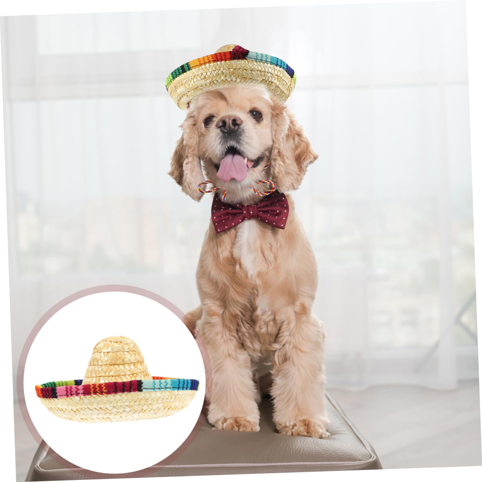 BESTonZON 10piezas Sombrero Mexicano para Mascota Mini Sombreros De Fiesta para Perros y Gatos para Exteriores o Eventos