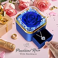 Vista 2 de Regalos para el día de la madre, rosa eterna con collar, regalos para mujeres, madre, abuela, esposa y novia, regalo de cumpleaños, boda, regalo