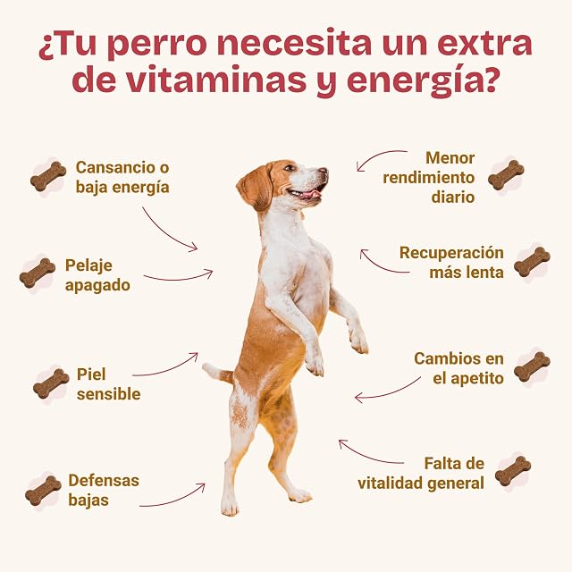 Foto 6 de 8 de Vitakun - Multivitamínico Natural para Las Articulaciones para Perros 180g