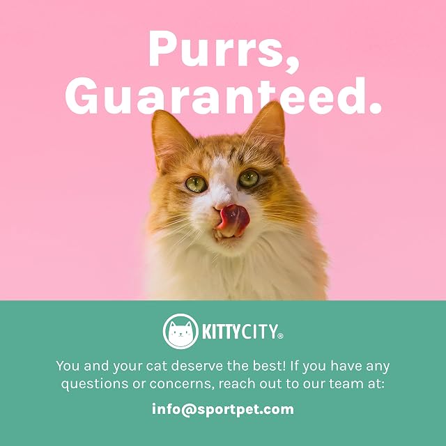 Foto 7 de 7 de Kitty City Cuencos elevados con Orejas de Gato, Cuencos pequeños, 2 Unidades (Modernos)