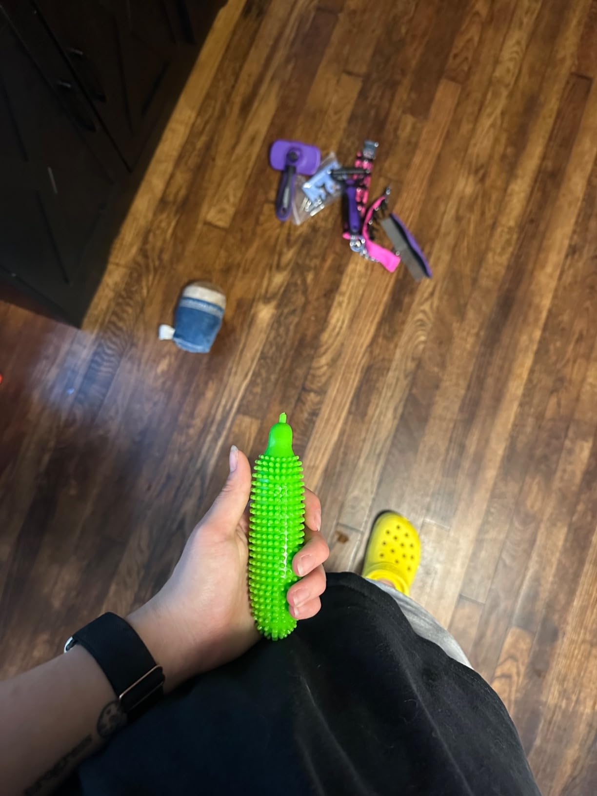 Dog Toys 25 Pack for Fun and Teeth Cleaning, Puppy Chew Toys Pack with Squeak Plush Toy,Squeaky Toy Balls,Tug of War and Rope Toys for Puppy to Small Dogs photo review