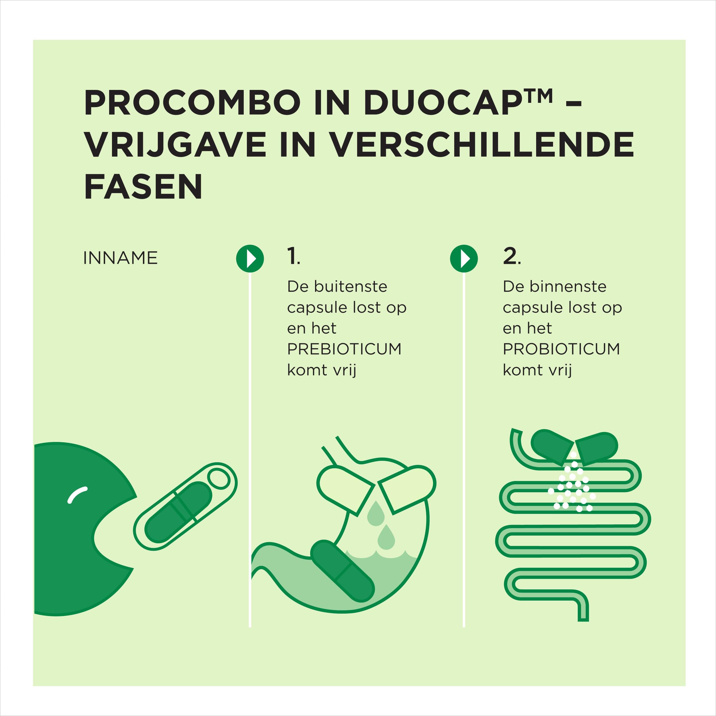 ProCombo – das smarte Synbiotikum mit gezielter Ausrichtung der "guten" Bakterien. Doppelkapsel und flüssige Formel für schnelle Ergebnisse. (30 Kapseln)