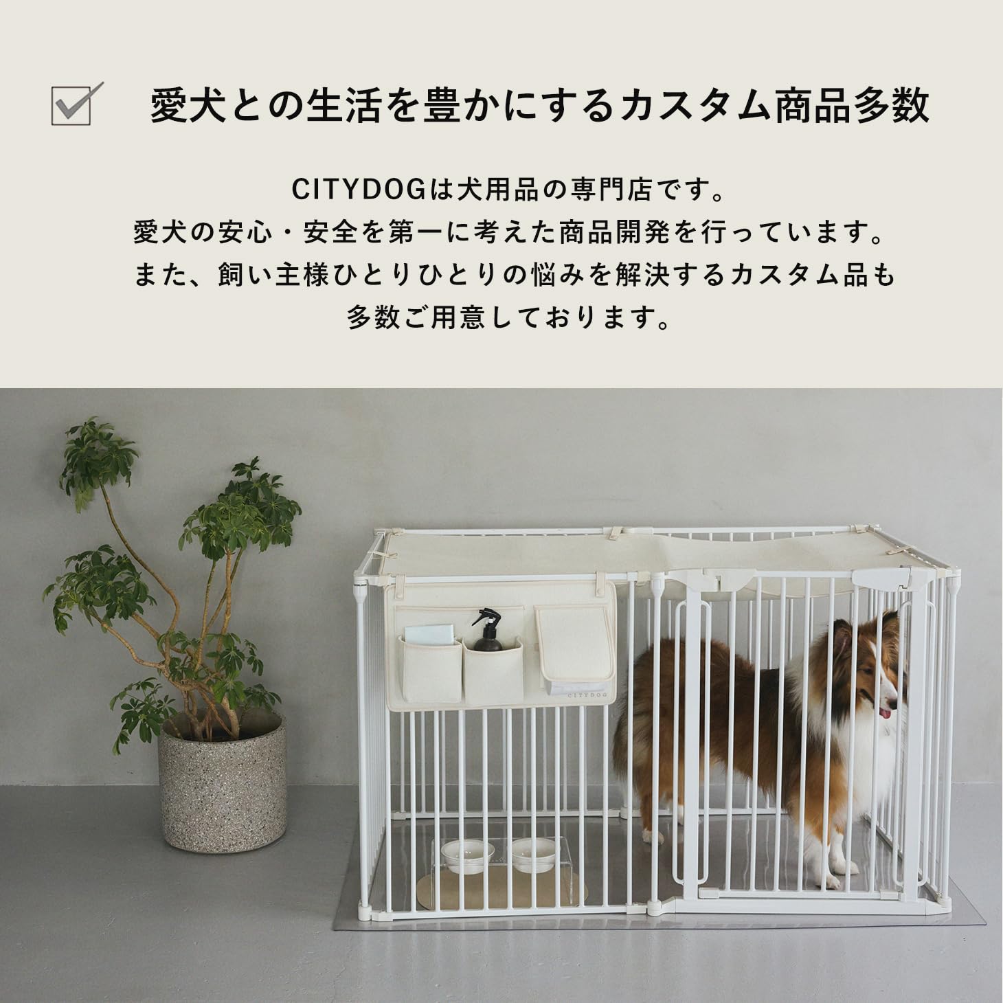 Amazon.co.jp: [citydog/シティドッグ] シンプルモダンケージ ショート