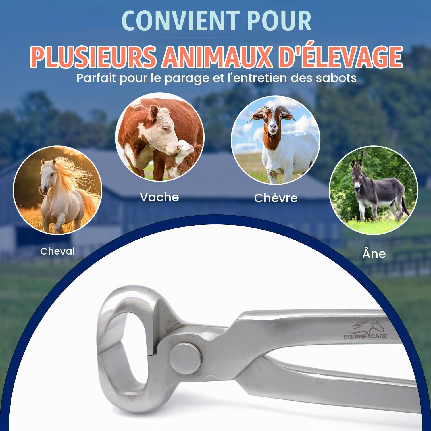 Equine Care Pince à sabots pour chevaux 38,1 cm