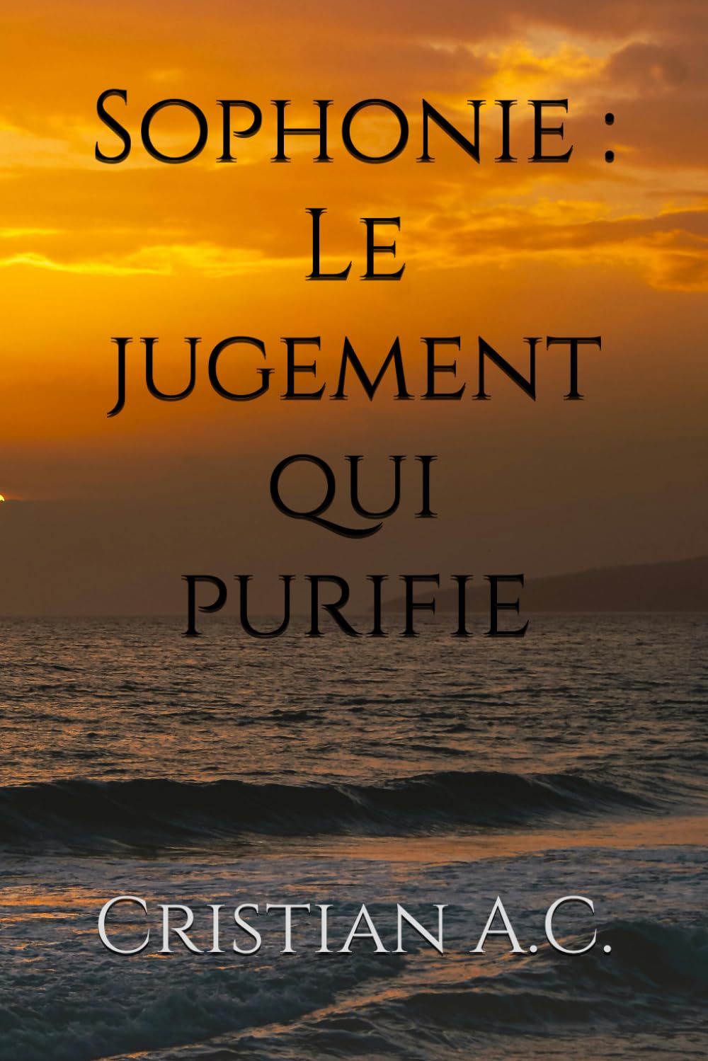 Sophonie : Le jugement qui purifie (Études bibliques : livre par livre)