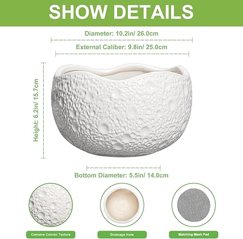 Miniatura 2 de Maceta de cerámica de 10 pulgadas para interiores y exteriores, macetas redondas para bonsái, macetas decorativas con agujero de drenaje, macetas