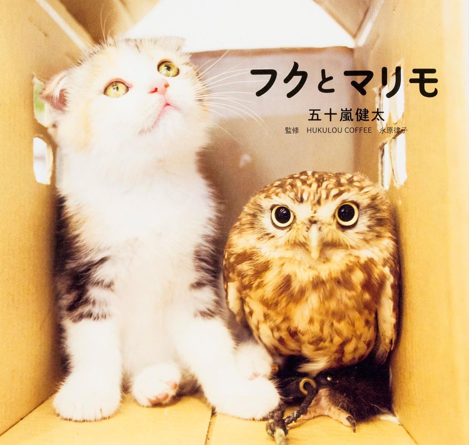 フクとマリモ | 五十嵐健太, HUKULOU COFFEE 永原律子 |本 | 通販 | Amazon